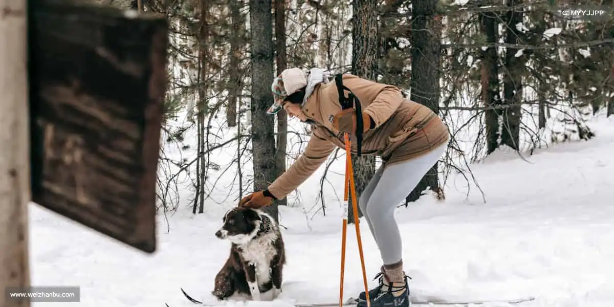 zoty中欧⚽每一次奔跑,都是超越自我的勋章!来这里,释放你的运动基因~